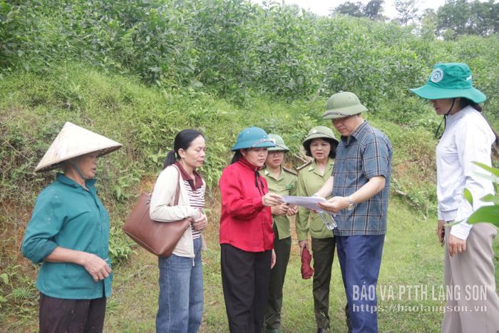 Đoàn khảo sát nắm bắt thông tin liên quan đến địa điểm trồng rừng thay thế tại xã Điềm He