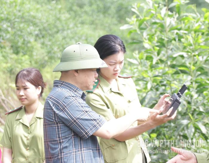 Đoàn công tác nắm bắt hình ảnh tổng thể khu vực trồng rừng thay thế tại xã Điềm He qua thiết bị flycam
