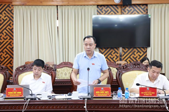 Đại biểu Quốc hội tỉnh phát biểu ý kiến trong chương trình làm việc