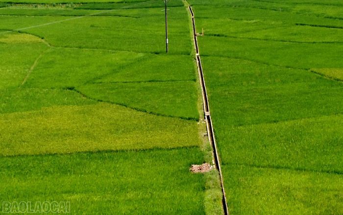 Mương nội đồng tại xã Cốc San phục vụ đầy đủ cho vụ lúa mùa.