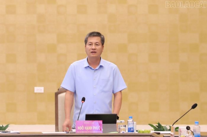 Đồng chí Ngô Hạnh Phúc - Ủy viên Ban Thường vụ Tỉnh ủy, Phó Chủ tịch Thường trực UBND tỉnh phát biểu tại phiên họp.