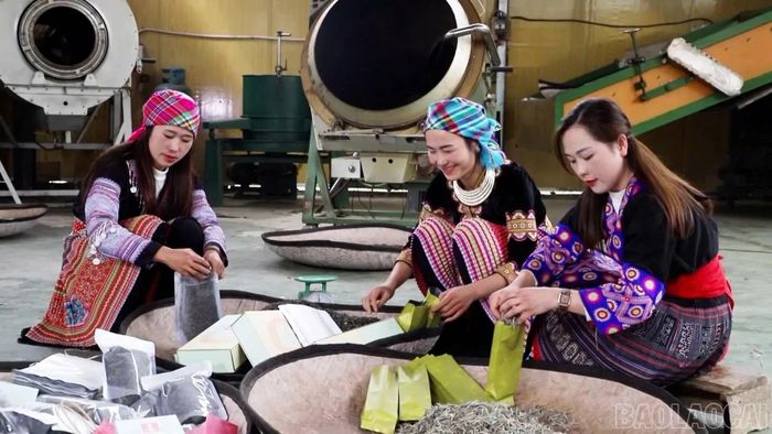  Chuyển dịch cơ cấu lao động đang diễn ra tại nhiều địa phương trong tỉnh giúp người dân nâng cao thu nhập. 