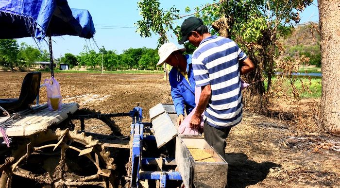 Người dân xã Hàm Thuận Bắc ứng dụng tiến bộ kỹ thuật vào sản xuất