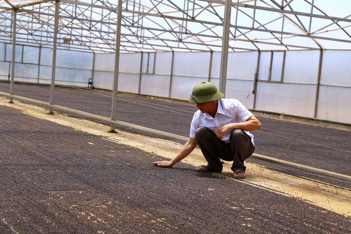 Năng suất và chất lượng hồ tiêu Đức An được cải thiện và trở thành thương hiệu có tiếng khu vực phía Tây Lâm Đồng