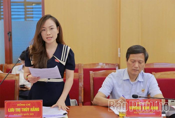 Các đại biểu Quốc hội phát biểu đóng góp ý kiến tại hội nghị. 