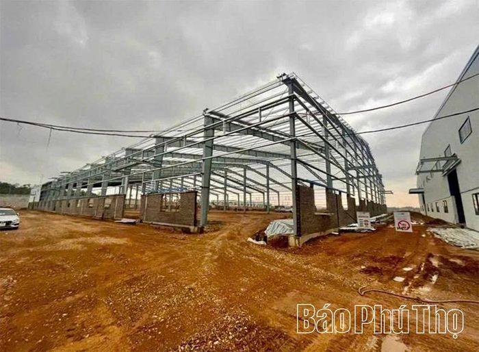 Hiện trường vụ tai nạn lao động tại công trình xây dựng nhà xưởng thuộc Cụm công nghiệp Vạn Xuân, tỉnh Phú Thọ.