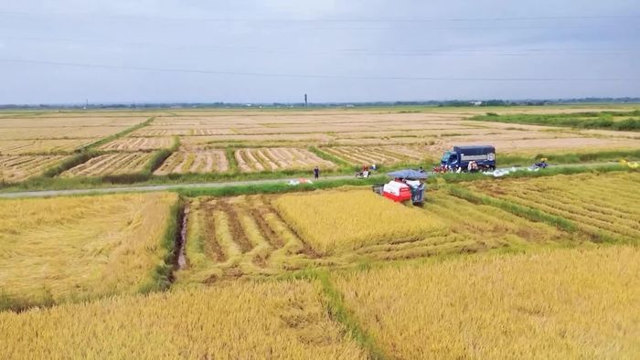 Ứng dụng máy móc vào sản xuất nông nghiệp - Ảnh: N.T