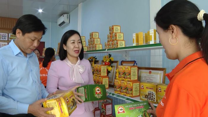 Lãnh đạo Liên minh HTX tỉnh Quảng Trị đi thăm các mô hình sản xuất - Ảnh: N.T