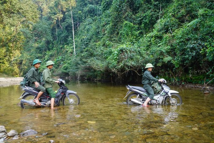 Dù công việc khó khăn, vất vả nhưng những nhân viên thuộc hộ gia đình nhận khoán bảo vệ rừng vẫn yêu nghề, nhiệt huyết với công việc - Ảnh: X.V