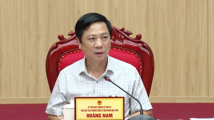 Đồng chí Hoàng Nam, Phó Chủ tịch Thường trực UBND tỉnh phát biểu kết luận buổi làm việc - Ảnh: Đ.A