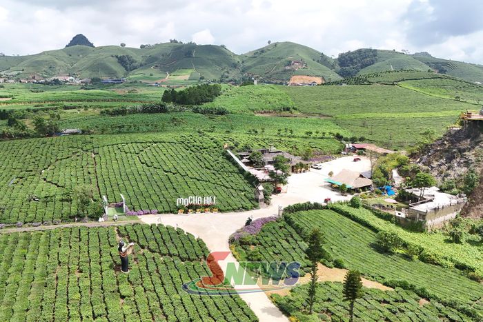 Khu du lịch Mocha Hill tại phường Vân Sơn.