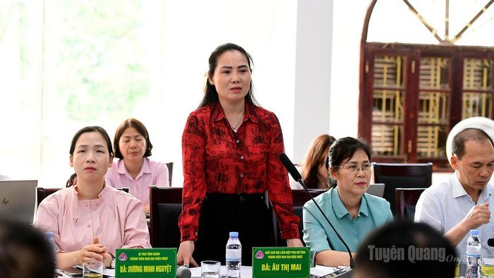 Đồng chí Âu Thị Mai, Ủy viên BCH Đảng bộ tỉnh, Chủ tịch Hội liên hiệp Phụ nữ tỉnh phát biểu tại phiên họp.