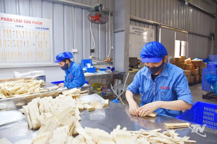 Từ nguồn nguyên liệu sẵn có, Chi nhánh Công ty TNHH Kẻ Gỗ Bắc Kạn (Khu công nghiệp Thanh Bình, xã Thanh Thịnh) đang từng bước nâng tỷ trọng chế biến sâu và gia tăng giá trị sản xuất.
