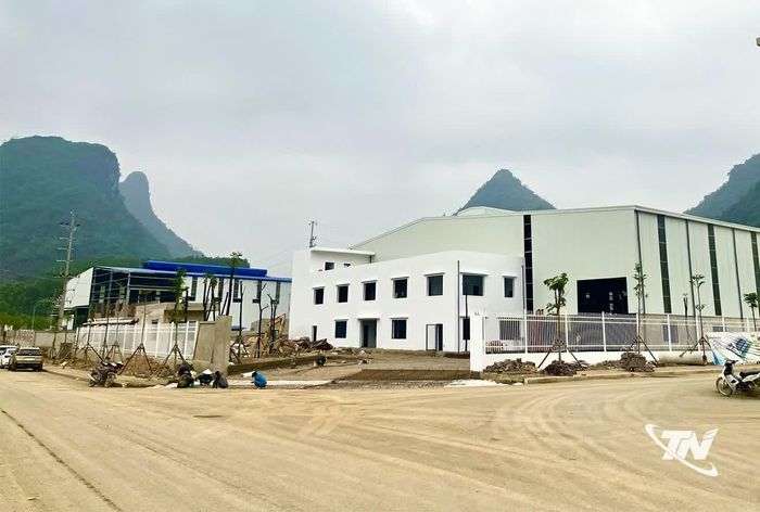 Cụm công nghiệp Quảng Chu thu hút các dự án chế biến gỗ và thực phẩm, góp phần khai thác hiệu quả lợi thế vùng nguyên liệu và tạo thêm việc làm cho lao động địa phương.