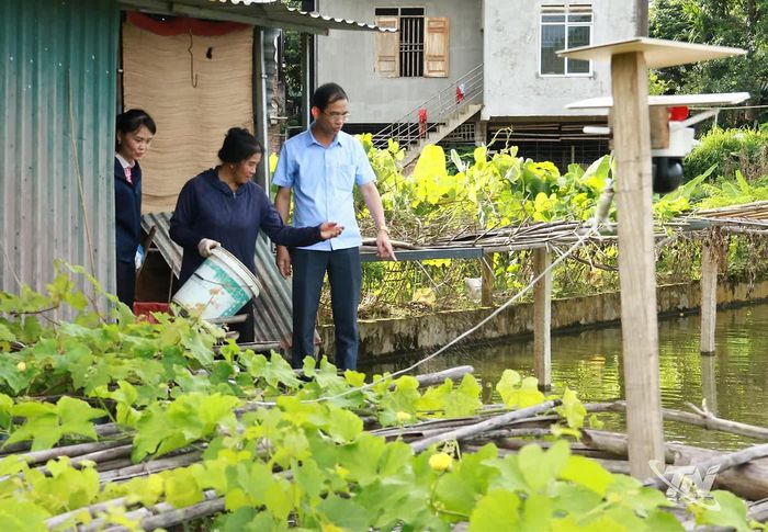 Lãnh đạo Đảng ủy xã Cẩm Giàng thăm mô hình kinh tế của người dân trên địa bàn.