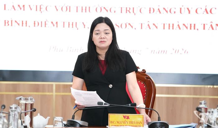 Đồng chí Phó Chủ tịch UBND tỉnh Nguyễn Thị Loan phát biểu kết luận buổi làm việc.