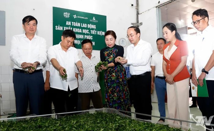 Đồng chí Nguyễn Đăng Bình thăm khu sản xuất của Công ty CP Chè Hà Thái, xã La Bằng.
