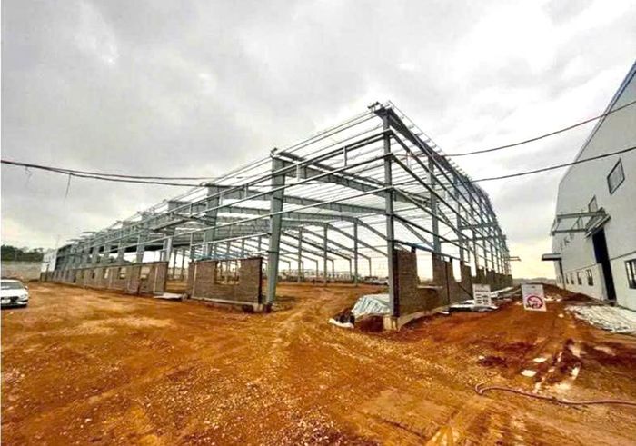Hiện trường xảy ra tai nạn lao động.