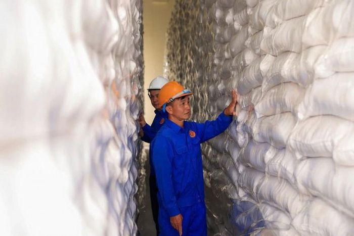 Bảo quản gạo tại Kho dự trữ Nghi Lộc thuộc Điểm kho dự trữ ĐK3.KV8. Ảnh: Đức Thanh