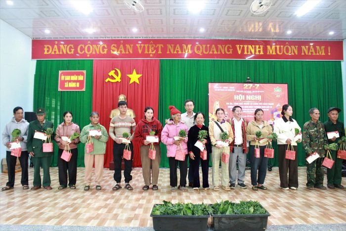 Chương trình kết nối nghĩa tình với sinh kế, góp phần mở rộng vùng trồng sâm Ngọc Linh gắn với cộng đồng địa phương.