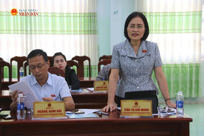ĐBQH hoạt động chuyên trách tại Ủy ban Pháp luật và Tư pháp Trần Thị Kim Nhung phát biểu