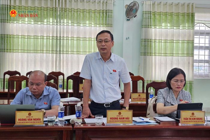 ĐBQH hoạt động chuyên trách tại Ủy ban Dân nguyện và Giám sát Hoàng Nam Hải phát biểu