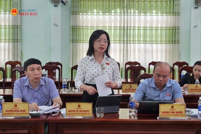 Đại biểu Quốc hội tỉnh Đắk Lắk Nguyễn Thị Thu Nguyệt phát biểu