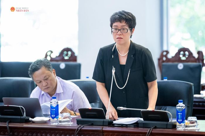 ĐBQH hoạt động chuyên trách tại Ủy ban Văn hóa và Xã hội Dương Minh Ánh phát biểu