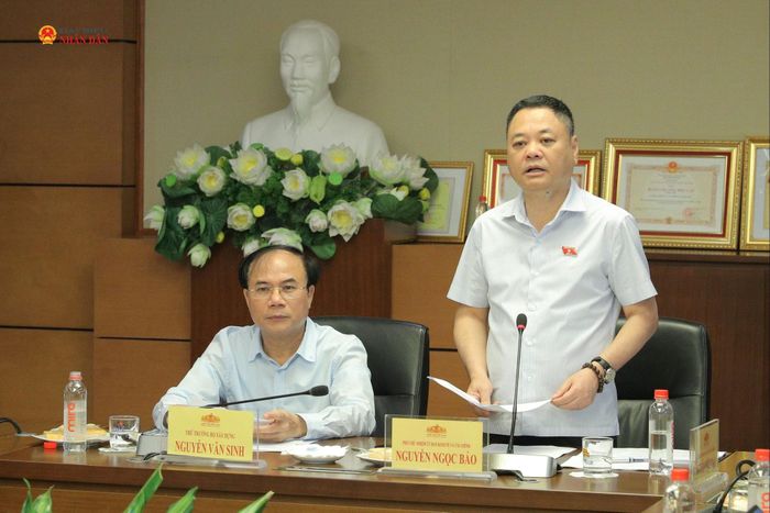 Phó Chủ nhiệm Ủy ban Kinh tế và Tài chính Nguyễn Ngọc Bảo phát biểu tại phiên họp