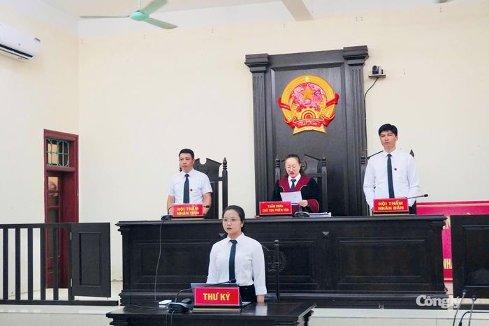 Hội đồng xét xử nhận định nguyên nhân dẫn đến vụ tai nạn xuất phát từ việc bị cáo không giữ khoảng cách an toàn với xe đi phía trước.