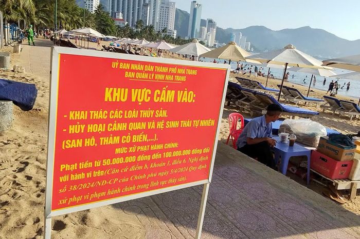 Bên bãi biển Hòn Chồng từ nhiều qua, Ban Quản lý vịnh Nha Trang đã lắp đặt nhiều biển báo khu vực cấm khai thác các loài thủy sản, hủy hoại cảnh quan hệ sinh thái tự nhiên.