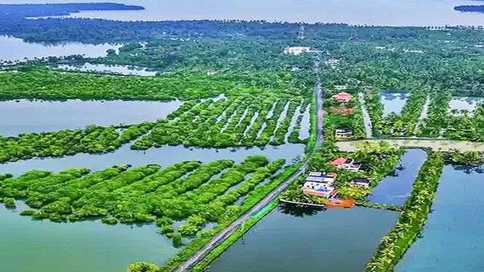Đảo Munroe nổi tiếng với vẻ đẹp tự nhiên ngoạn mục - được đặc trưng bởi mạng lưới kênh đào, đầm phá và các tuyến đường thủy chằng chịt khắp đảo. Ảnh: keralatourism.org