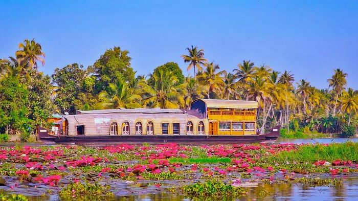 Kumarakom là điểm dừng chân quan trọng đối với phần lớn khách du lịch. Khu du lịch vùng nước lợ này là một cụm đảo nằm trên bờ phía Đông của hồ Vembanad xinh đẹp. Ảnh: Mohit Khare/Pexels