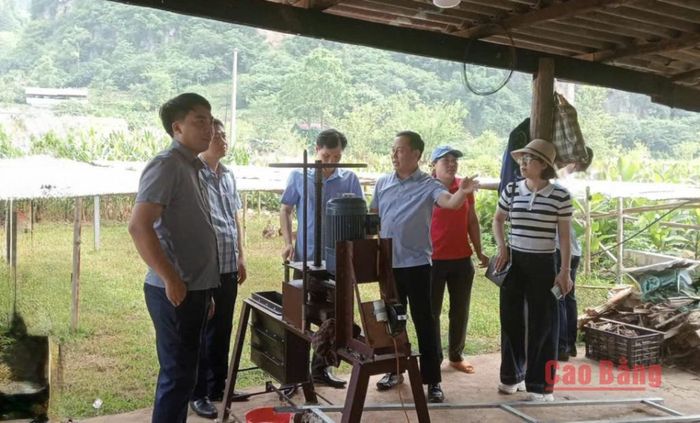 Lãnh đạo UBND xã Nguyễn Huệ kiểm tra, nắm tình hình phát triển kinh tế - xã hội tại thôn Án Lại.