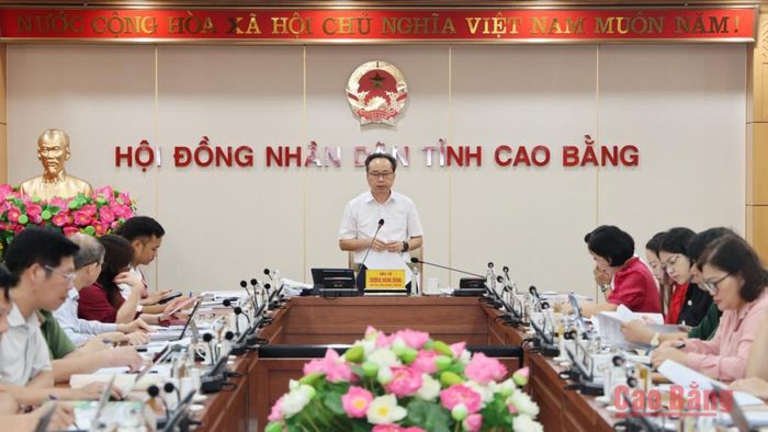 Trưởng Ban Kinh tế - Ngân sách, HĐND tỉnh Dương Hùng Dũng phát biểu kết luận cuộc họp.
