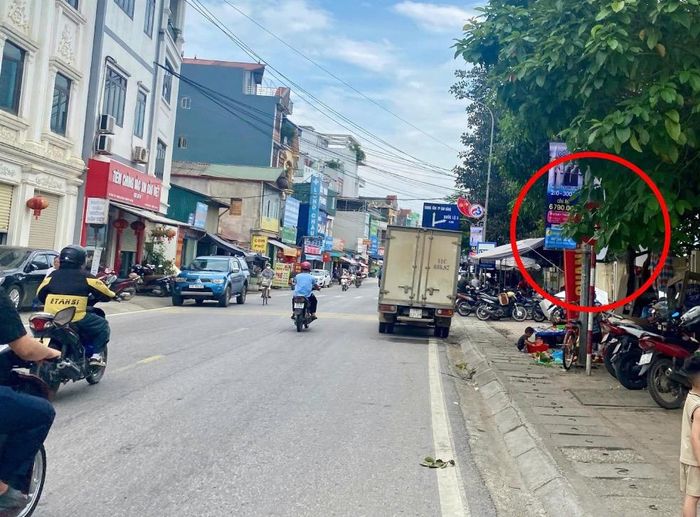 Cây xanh che khất biển báo "Cấm sử dụng còi" tại khu vực Bệnh viện Đa khoa tỉnh, phường Tân Giang.