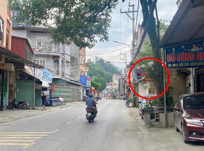 Tại phường Nùng Trí Cao, một số biển báo bị cây cối, mái hiên của nhà dân che khuất cần được khắc phục để người điều khiển phương tiện yên tâm hơn và hạn chế vi phạm.