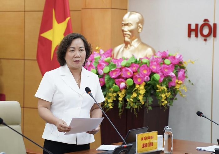 Phó Chủ tịch UBND tỉnh Hà Nhật Lệ phát biểu tại cuộc họp.