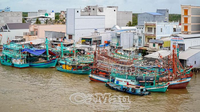 Với lượng phương tiện khai thác lớn, xã Sông Ðốc phối hợp chặt chẽ với lực lượng chức năng siết chặt kiểm soát tàu cá ngay từ bờ, nhằm ngăn chặn triệt để vi phạm IUU.