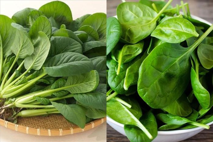 Rau xanh đậm – Thanh lọc cơ thể, làm chậm lão hóa. Ảnh minh họa.