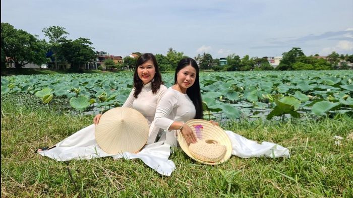 Sen Huế sẽ tiếp tục phát huy giá trị kinh tế, văn hóa và du lịch...