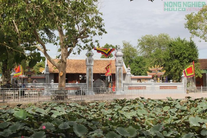 Đền thờ Sát Hải Đại Vương Hoàng Tá Thốn tại xóm Vạn Tràng, xã Hợp Minh, tỉnh Nghệ An.