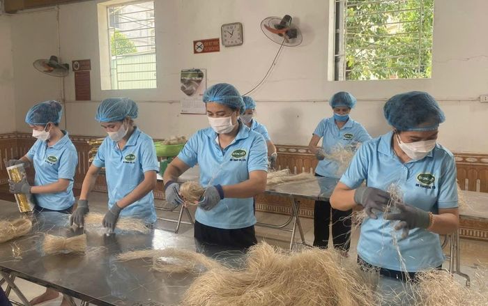 Công ty TNHH Sản xuất, Thương mại và Xuất nhập khẩu Dương Kiên xuất khẩu miến ra thị trường thế giới. Ảnh: PV