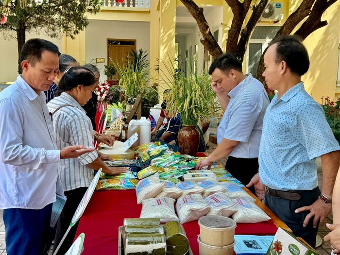 Hà Nội tăng cường tuyên truyền, quảng bá chính sách, tiềm năng và lợi thế của nông sản Hà Nội; hỗ trợ doanh nghiệp kết nối thị trường xuất khẩu. Ảnh: PV