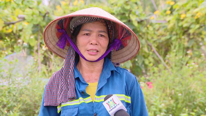 Bà Ngô Thị Hương (thôn Lễ Pháp, xã Phúc Thịnh). Ảnh: Đình Hiệp