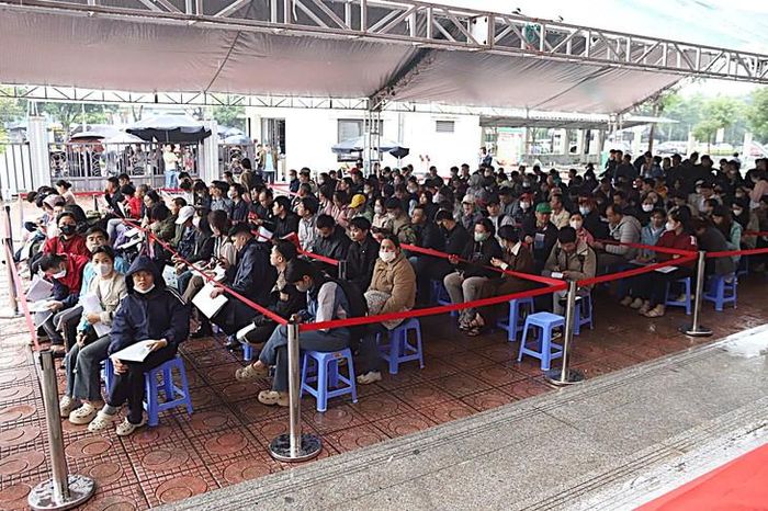 Người dân xếp hàng nộp hồ sơ mua nhà ở xã hội Kim Chung (Ảnh Thành Long).