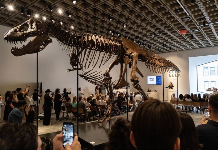  Cuộc đấu giá 10 phút đưa hóa thạch T. rex lên giá kỷ lục.
