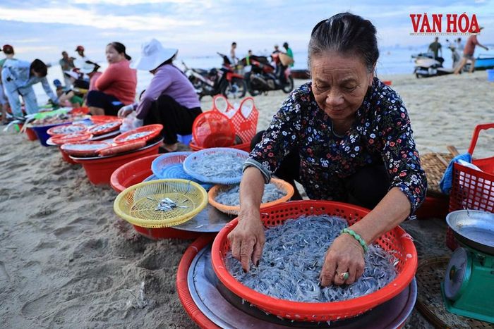 Không gian chợ cá không có quầy hàng cầu kỳ hay cách bài trí chỉn chu, tất cả diễn ra tự nhiên trên nền cát với hải sản tươi sống