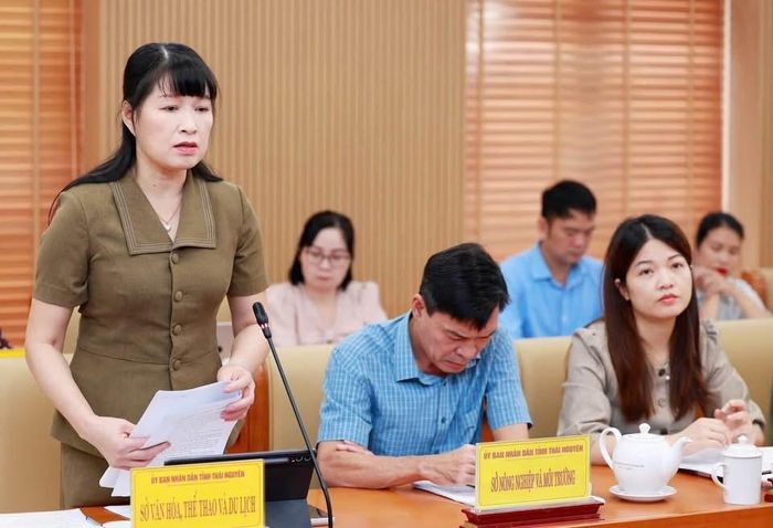 Lãnh đạo Sở Văn hóa, Thể thao và Du lịch tỉnh Thái Nguyên phát biểu tại cuộc họp