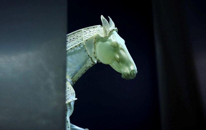 Tên tác phẩm: Horse of Wishes – Linh Mã Ước Nguyện. Ảnh: Shoot Hayley / Amos Rex.